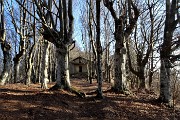 MONTE TESORO ad anello da Carenno il 24 gennaio 2018 - FOTOGALLERY